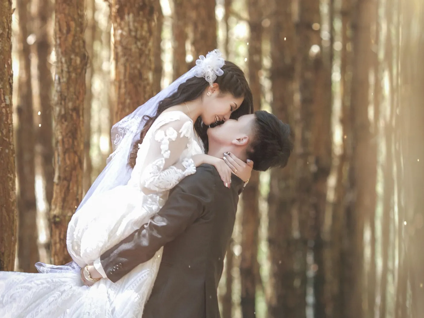 Groom lifting the bride for a kiss in a sunlit pine forest